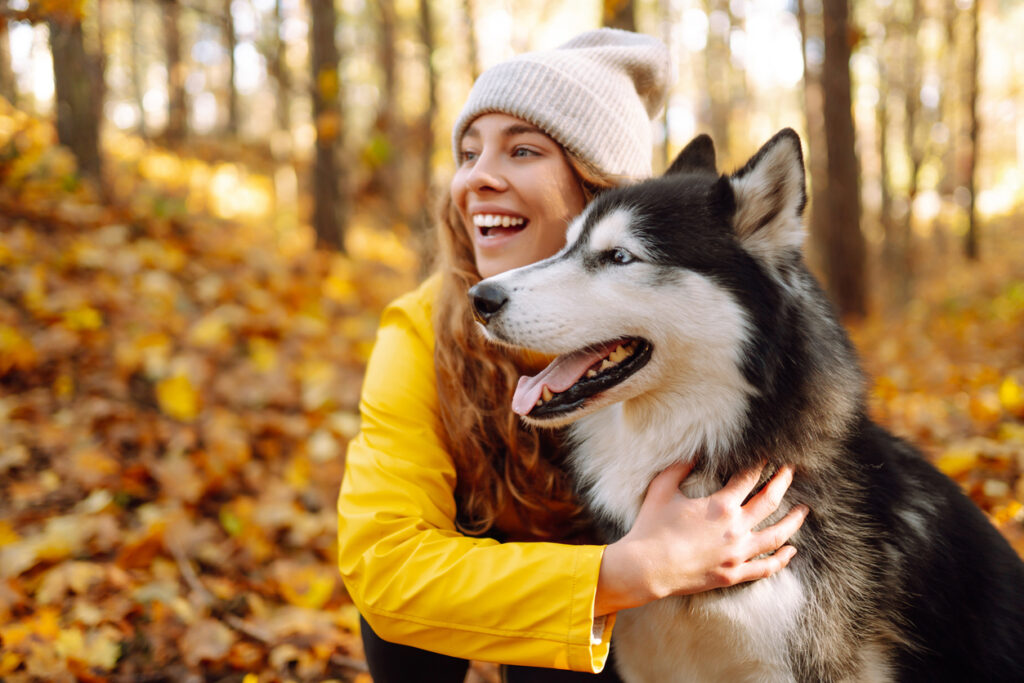 Happy woman with her husky dog walks in the autumn forest.