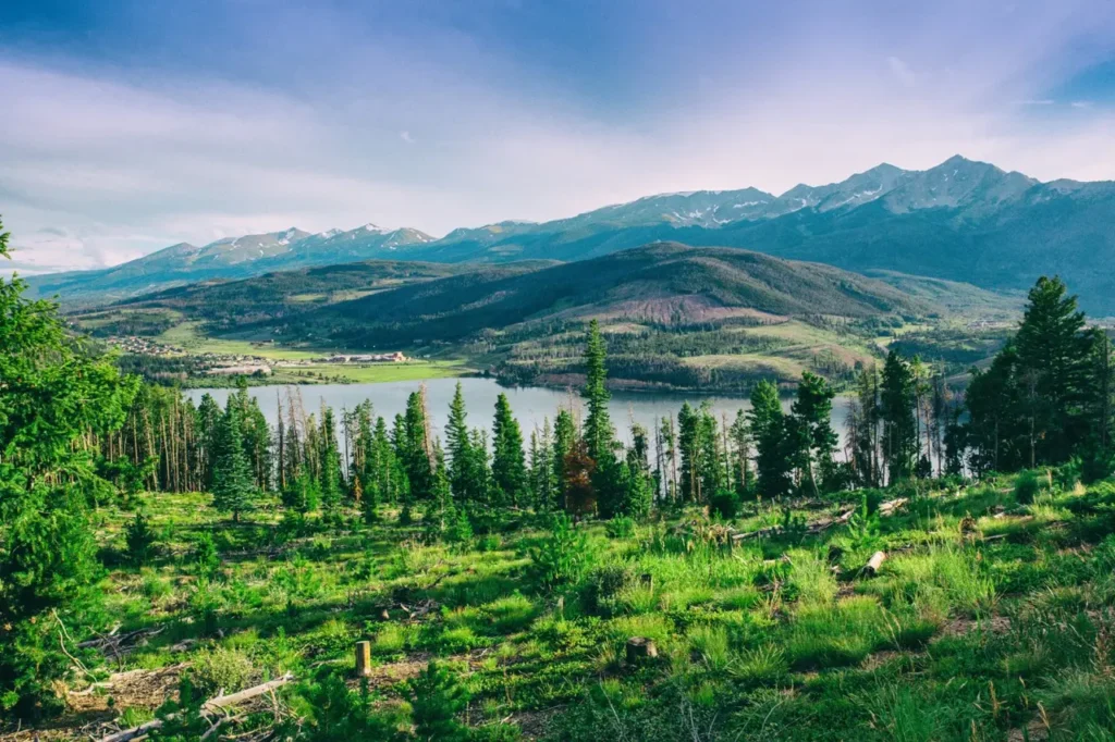 Aspen View Mental Health - colorado forest 2026 03 16 00 41 03 utc Large